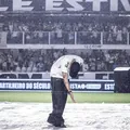 周雨桐